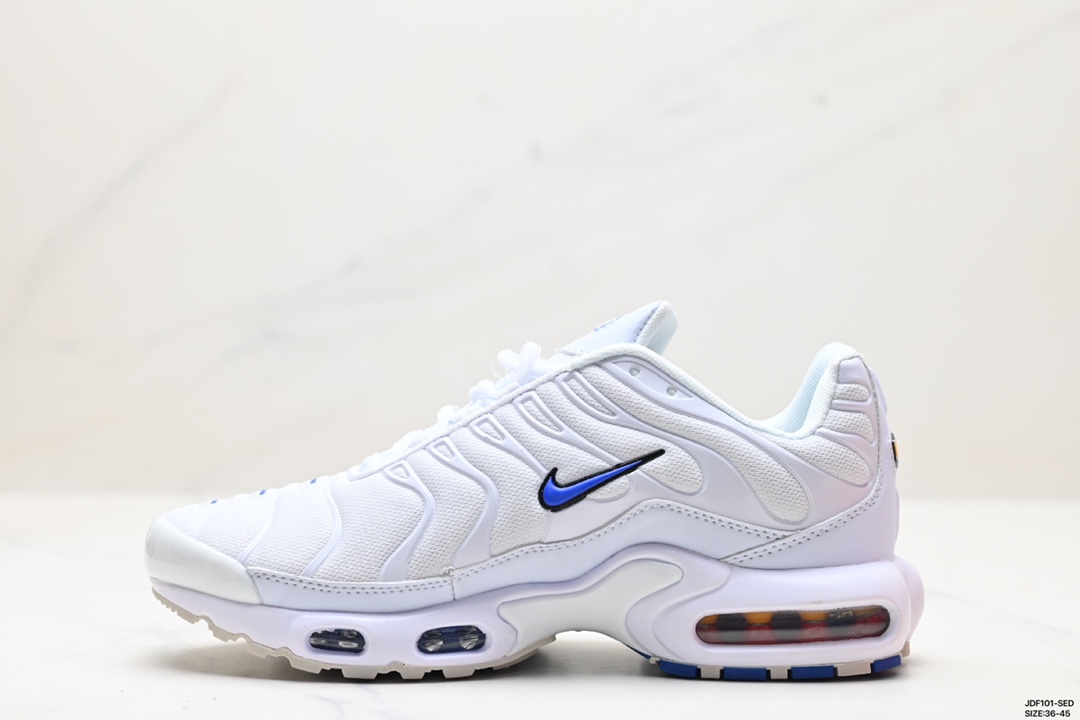 Nike Air Max Shoes